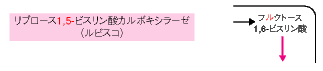 リブロース1,5-．．．，フルクトース