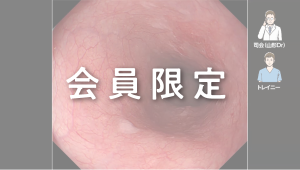 Case 019 食道 中部食道 平坦隆起性病変 サムネール