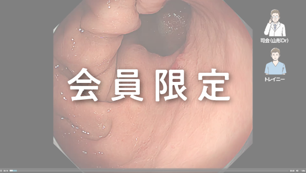Case 035 胃 残胃 平坦陥凹性病変 サムネール