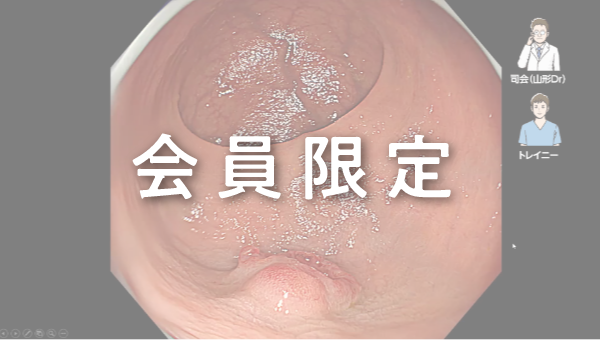 Case 040 大腸 直腸 隆起性病変 サムネール