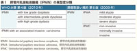 表1　膵管内乳頭粘液腫瘍（IPMN）の異型度分類