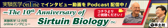 実験医学12月号onlineインタビュー～The 10th Anniversary of Sirtuin Biology～