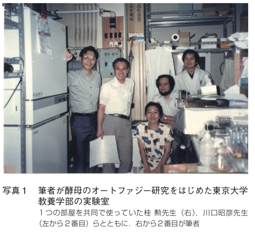 筆者が酵母のオートファジー研究をはじめた東京大学 教養学部の実験室