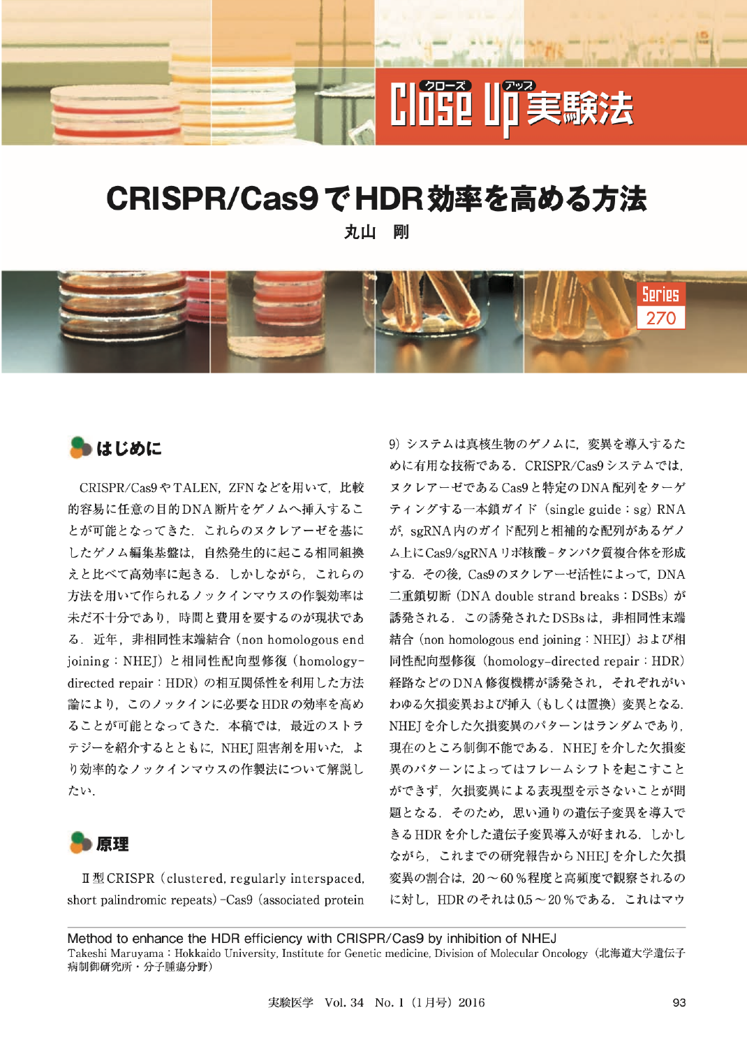 CRISPR/Cas9でHDR効率を高める方法
