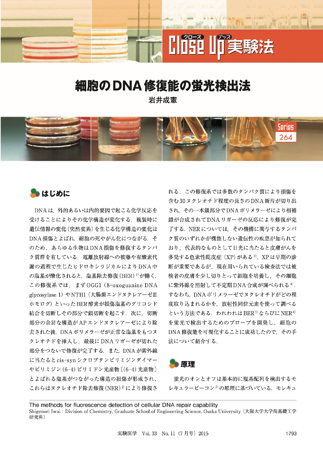 細胞のDNA修復能の蛍光検出法