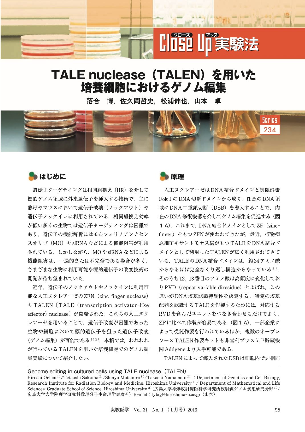 TALE nuclease （TALEN） を用いた培養細胞におけるゲノム編集