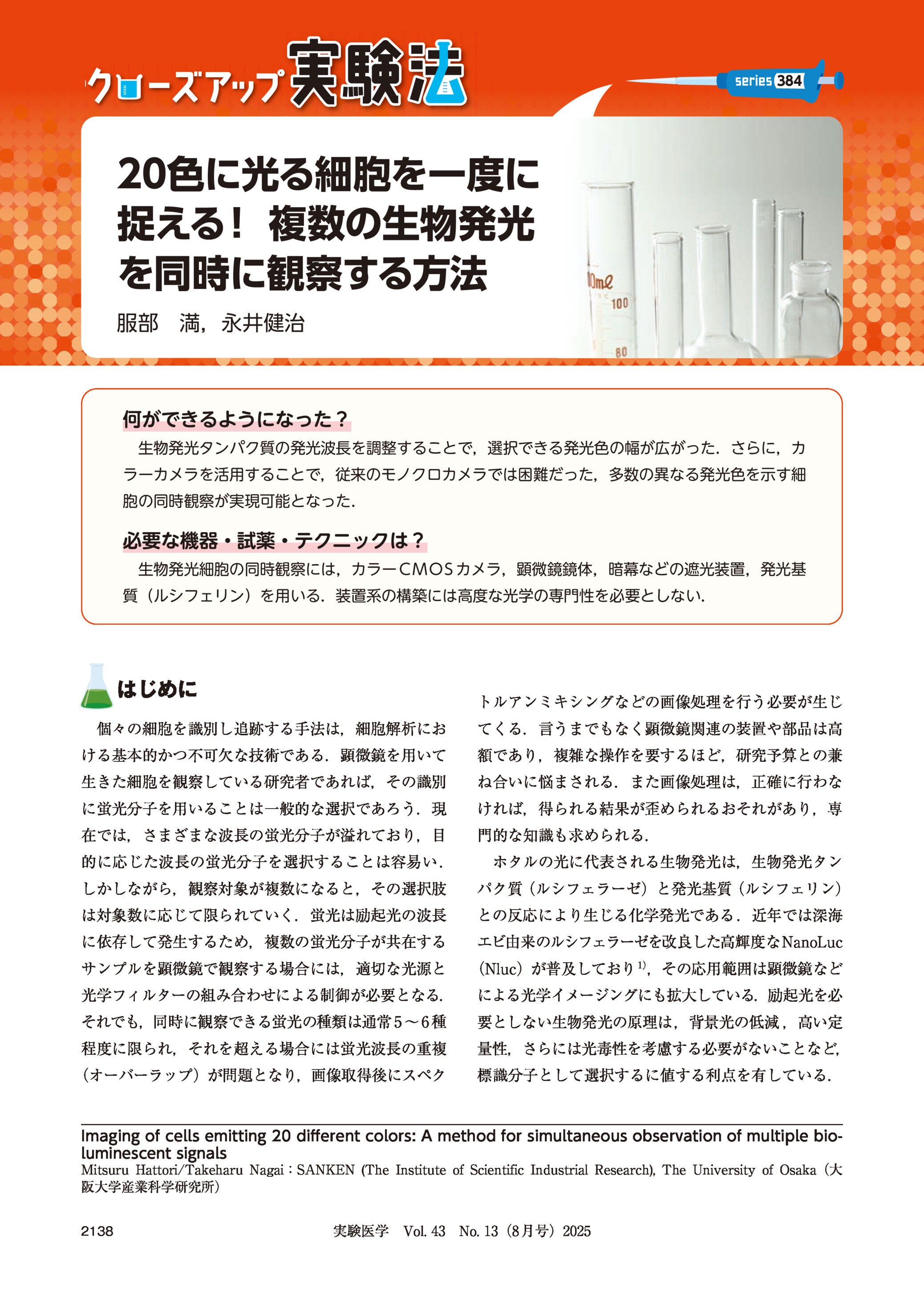 384

20色に光る細胞を一度に
捉える! 複数の生物発光
を同時に観察する方法
服部 満,永井健治

何ができるようになった?
生物発光タンパク質の発光波長を調整することで,選択できる発光色の幅が広がった.さらに,カ
ラーカメラを活用することで,従来のモノクロカメラでは困難だった,多数の異なる発光色を示す細
胞の同時観察が実現可能となった.

必要な機器・試薬・テクニックは?
生物発光細胞の同時観察には,カラー CMOS カメラ,顕微鏡鏡体,暗幕などの遮光装置,発光基
質(ルシフェリン)を用いる.装置系の構築には高度な光学の専門性を必要としない.

はじめに

トルアンミキシングなどの画像処理を行う必要が生じ

個々の細胞を識別し追跡する手法は,細胞解析にお

てくる.言うまでもなく顕微鏡関連の装置や部品は高

ける基本的かつ不可欠な技術である.顕微鏡を用いて

額であり,複雑な操作を要するほど,研究予算との兼

生きた細胞を観察している研究者であれば,その識別

ね合いに悩まされる.また画像処理は,正確に行わな

に蛍光分子を用いることは一般的な選択であろう.現

ければ,得られる結果が歪められるおそれがあり,専

在では,さまざまな波長の蛍光分子が溢れており,目

門的な知識も求められる.

的に応じた波長の蛍光分子を選択することは容易い .

ホタルの光に代表される生物発光は,生物発光タン

しかしながら,観察対象が複数になると,その選択肢

パク質(ルシフェラーゼ)と発光基質(ルシフェリン)

は対象数に応じて限られていく.蛍光は励起光の波長

との反応により生じる化学発光である .近年では深海

に依存して発生するため,複数の蛍光分子が共在する

エビ由来のルシフェラーゼを改良した高輝度なNanoLuc

サンプルを顕微鏡で観察する場合には,適切な光源と

(Nluc)が普及しており 1),その応用範囲は顕微鏡など

光学フィルターの組み合わせによる制御が必要となる.

による光学イメージングにも拡大している.励起光を必

それでも,同時に観察できる蛍光の種類は通常 5 ∼ 6 種

要としない生物発光の原理は,背景光の低減 ,高い定

程度に限られ,それを超える場合には蛍光波長の重複

量性,さらには光毒性を考慮する必要がないことなど,

(オーバーラップ)が問題となり,画像取得後にスペク

標識分子として選択するに値する利点を有している.

Imaging of cells emitting 20 different colors: A method for simultaneous observation of multiple bioluminescent signals
Mitsuru Hattori/Takeharu Nagai:SANKEN (The Institute of Scientific Industrial Research), The University of Osaka(大
阪大学産業科学研究所)
2138

実験医学 Vol. 43 No. 13(8 月号)2025