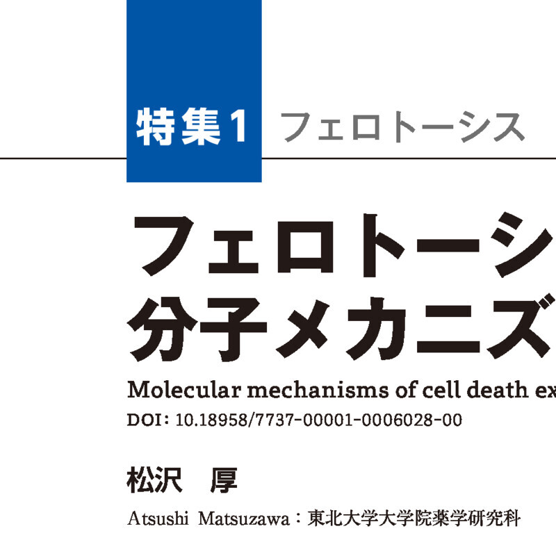 フェロトーシス実行の分子メカニズムとその制御戦略｜スマホで読める