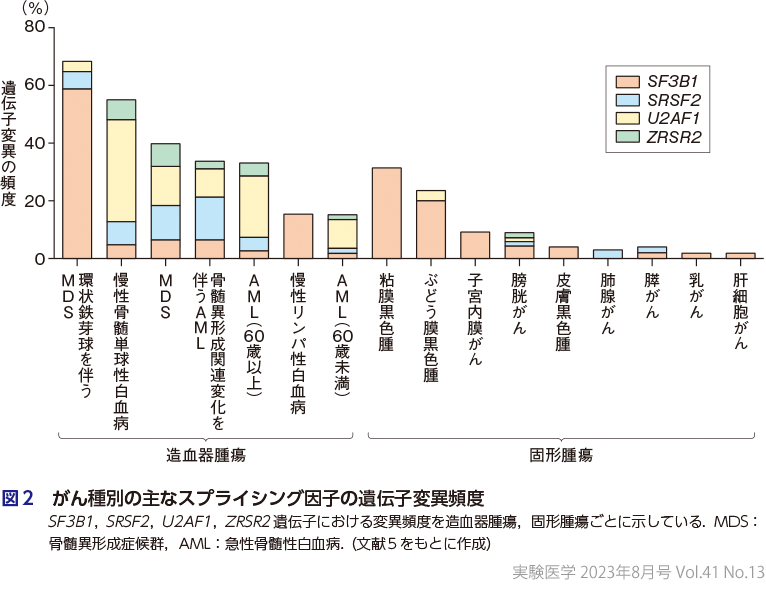 図2　がん種別の主なスプライシング因子の遺伝子変異頻度