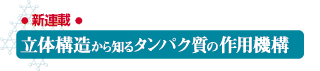 立体構造から知るタンパク質の作用機構