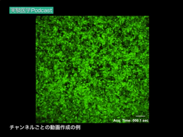 チャンネルごとの動画作成の例（研究発表編２より）