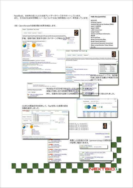 セレスバイオサイエンス（株）
