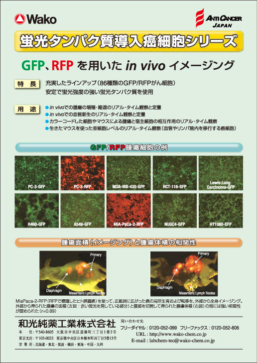 和光純薬工業（株）