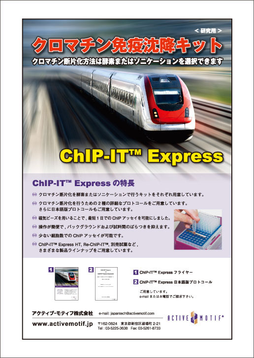 アクティブ・モティフ（株）