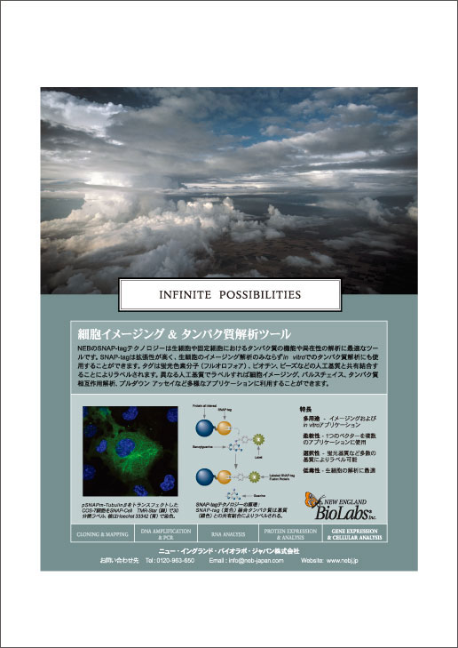 ニュー・イングランド・バイオラボ・ジャパン（株）