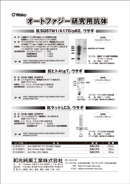 和光純薬工業(株)