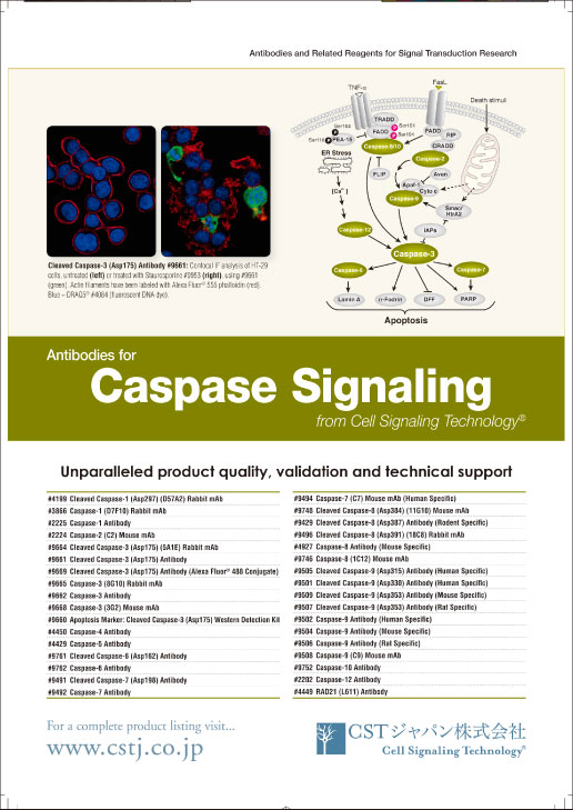 CSTジャパン(株)