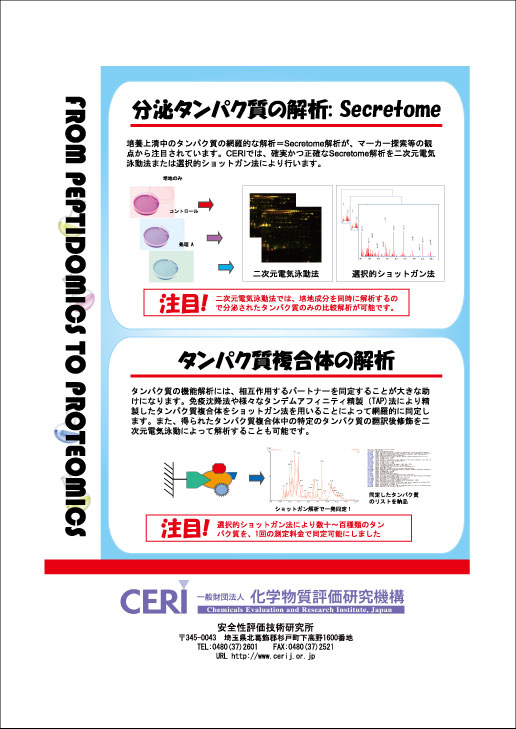 財団法人　化学物質評価研究機構