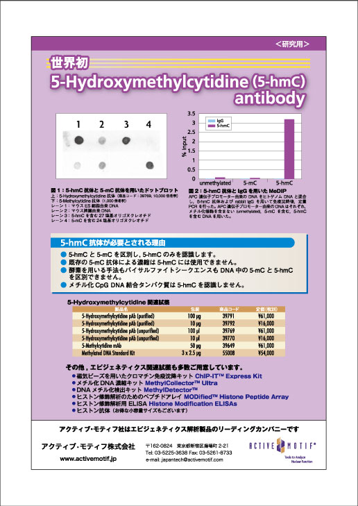 アクティブ・モティフ(株)