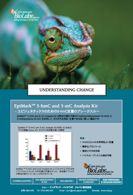 ニュー・イングランド・バイオラボ・ジャパン（株）