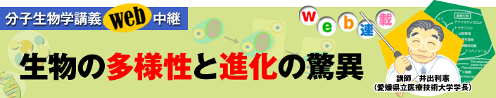 第1回 生物界全体をグループに分ける　3．分子時計の解析から導かれた3超界分類　［分子生物学講義Web中継～生物の多様性と進化の驚異］