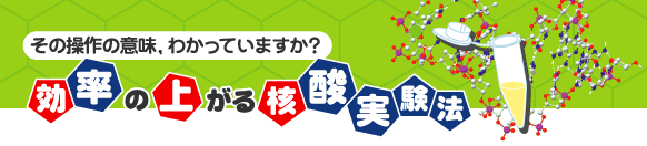 効率の上がる核酸実験法