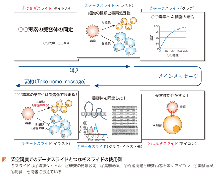 データスライド と つなぎスライド 研究成果をもっと伝える プレゼンテーション スライド作成講座 実験医学online 羊土社 羊土社