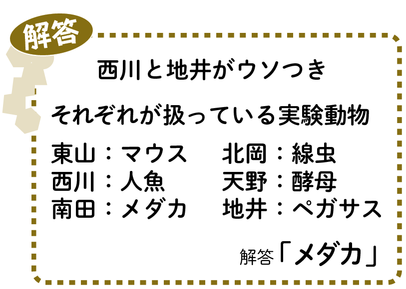 解答