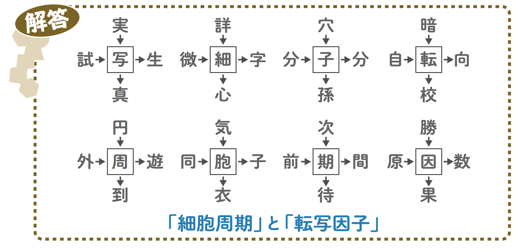 バイオでパズる 実験医学online 羊土社 羊土社