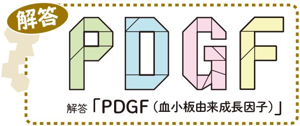 PDGF（血小板由来成長因子）