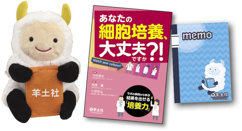 プレゼント写真