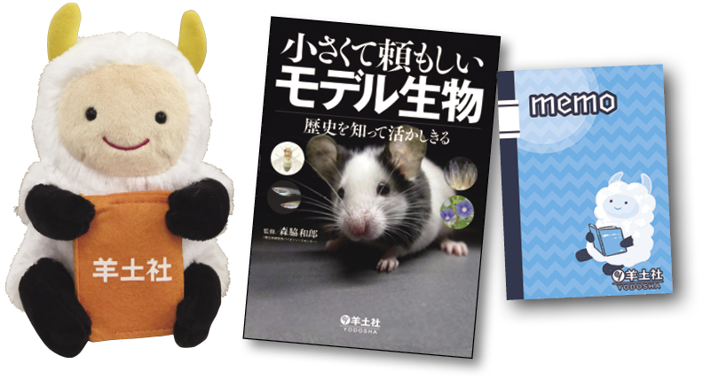 プレゼント写真