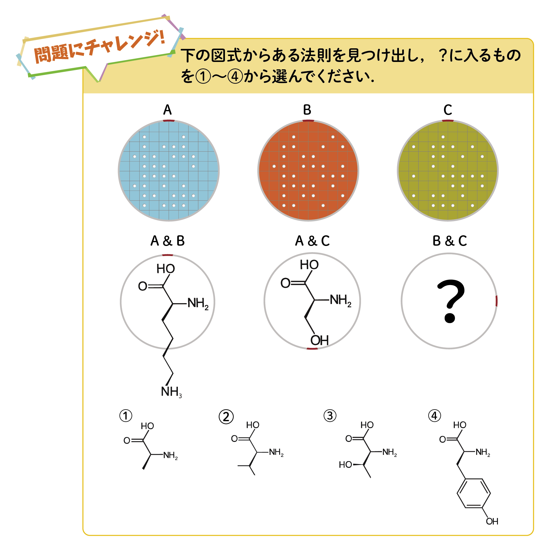 コロニーの謎