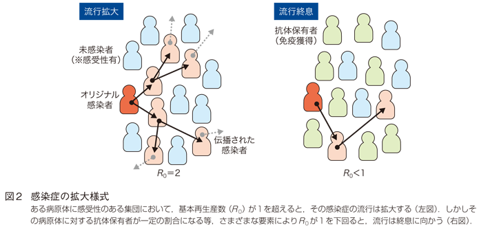 図2　感染症の拡大様式