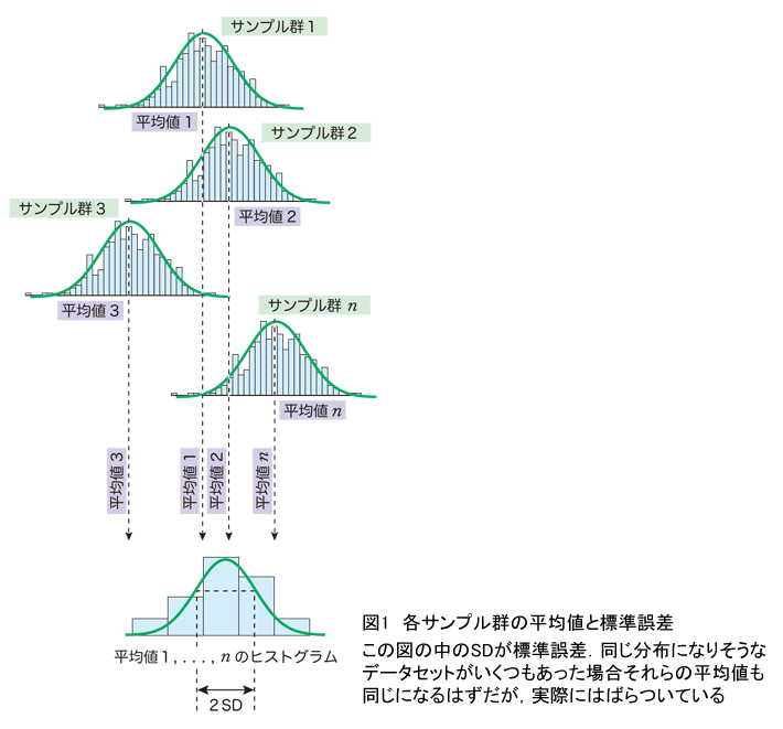 Q2 同じ実験を繰り返して得られた平均値の誤差を出すときに 標準偏差と標準誤差ではどちらを用いるのでしょうか バイオ実験に絶対使える統計の基本q A 実験医学online 羊土社 羊土社