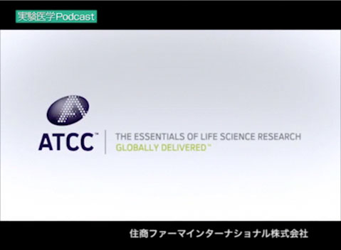 1 【ATCC推奨】高感度マイコプラズマ検出キット