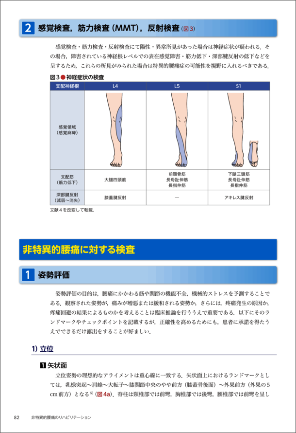 非特異的腰痛のリハビリテーション　立ち読み4