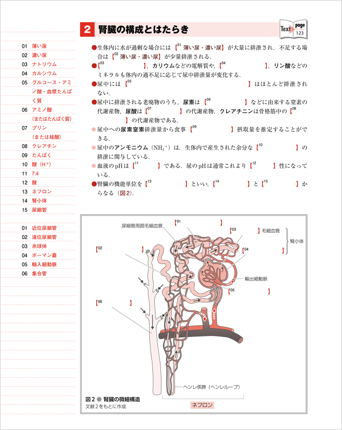 解剖生理学ノート　人体の構造と機能　改訂第2版　立ち読み4