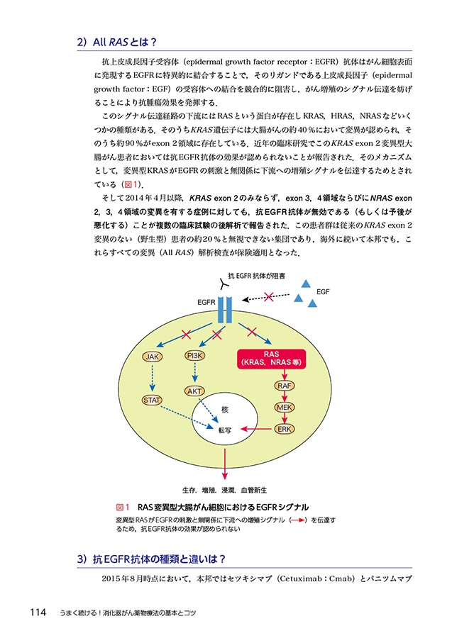 うまく続ける！消化器がん薬物療法の基本とコツ　立ち読み2