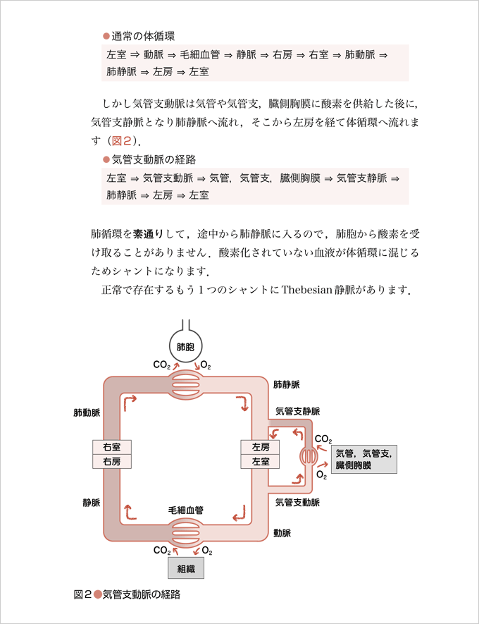 人工呼吸に活かす！呼吸生理がわかる、好きになる　立ち読み3