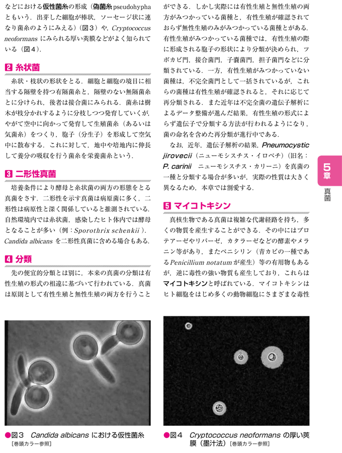 はじめの一歩のイラスト感染症・微生物学　立ち読み3