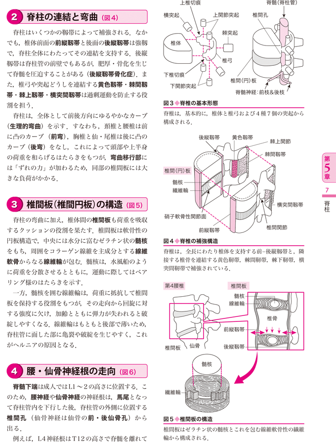 臨床につながる解剖学イラストレイテッド 羊土社