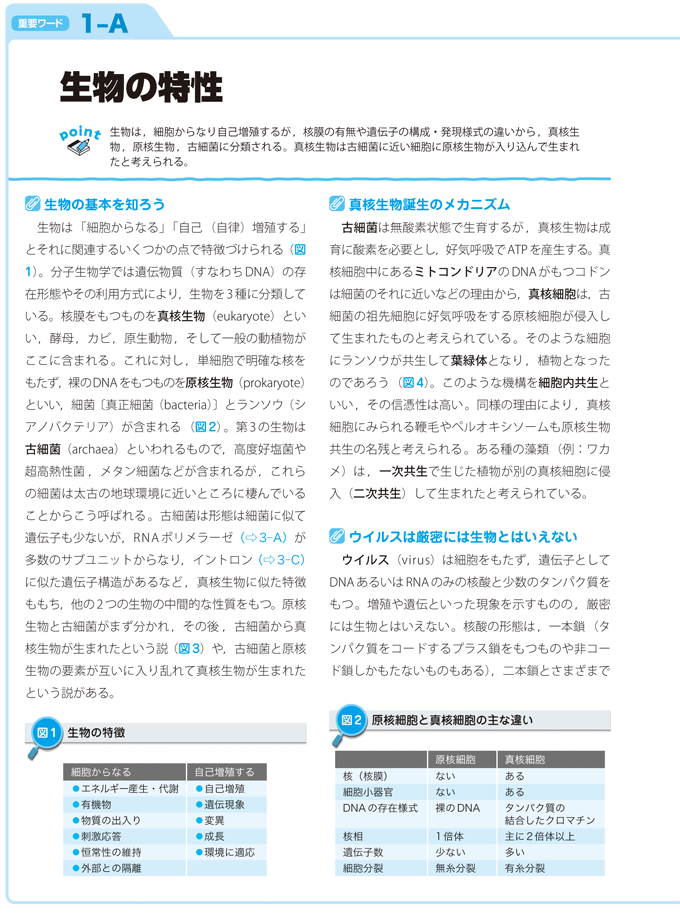 分子生物学超図解ノート 改訂版