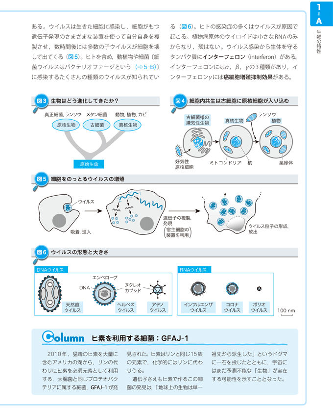 分子生物学超図解ノート 改訂版　立ち読み4