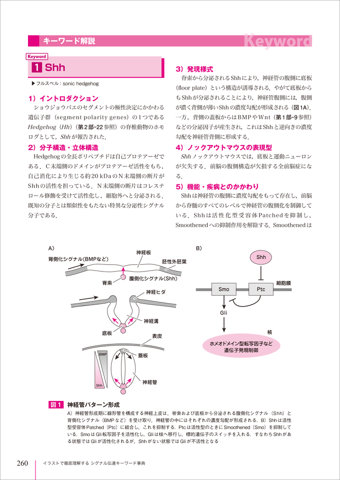 シグナル伝達キーワード事典　立ち読み3