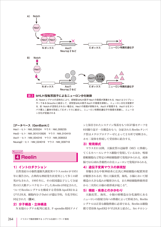 シグナル伝達キーワード事典　立ち読み7