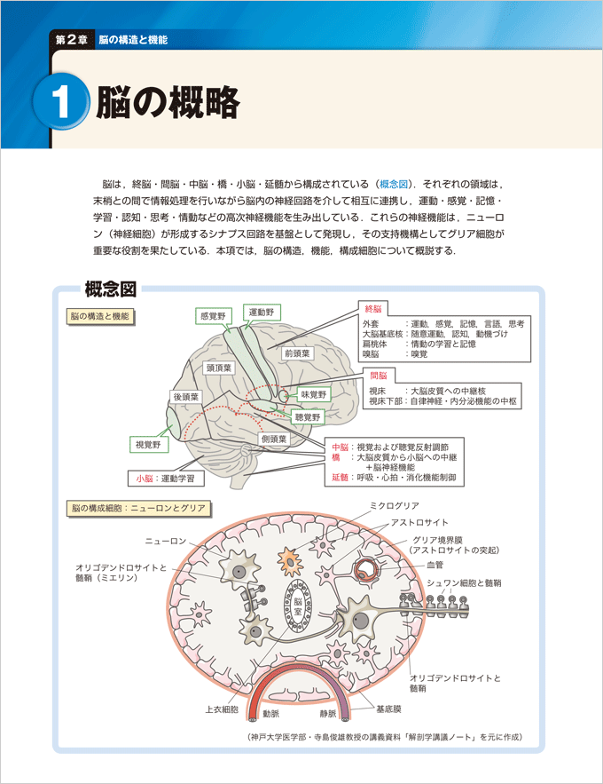 イラストレイテッドシリーズ 改訂第３版 脳神経科学イラストレイテッド 分子 細胞から実験技術まで 羊土社