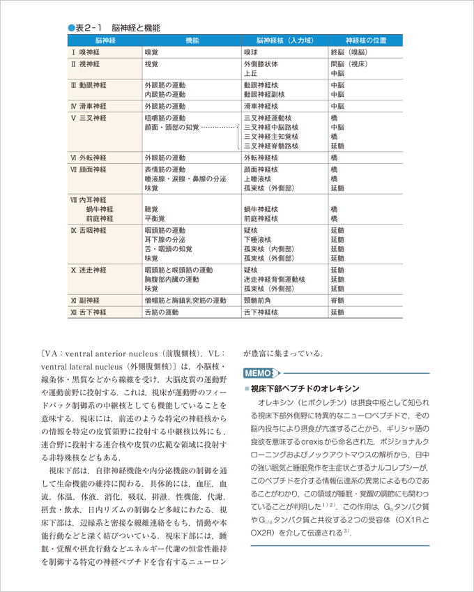 改訂第３版 脳神経科学イラストレイテッド　立ち読み3