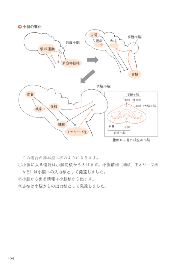 脳神経科学がわかる、好きになる