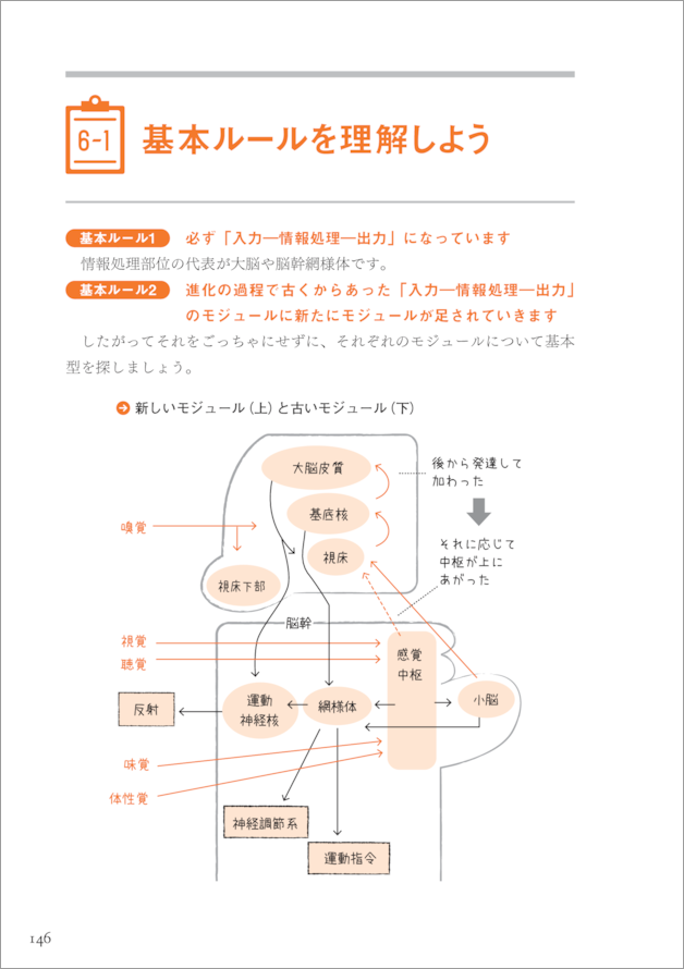 脳神経科学がわかる、好きになる - 羊土社